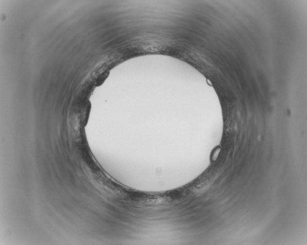 X0000069830646200606161941