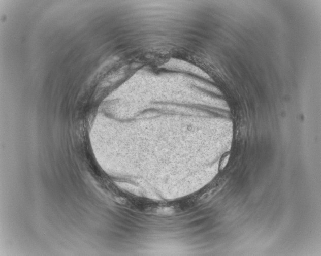 X0000069830647200606161941