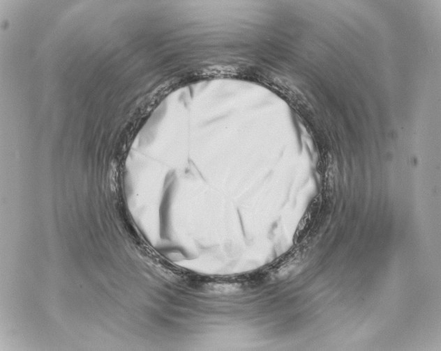 X0000069830649200606161941