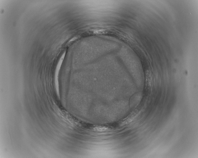 X0000069830650200606161941