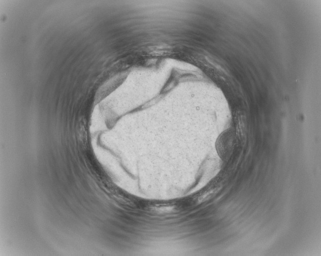 X0000069830651200606161941