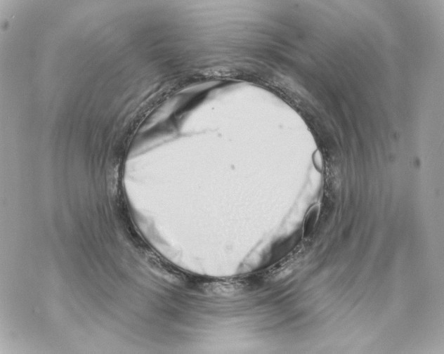 X0000069830652200606161941