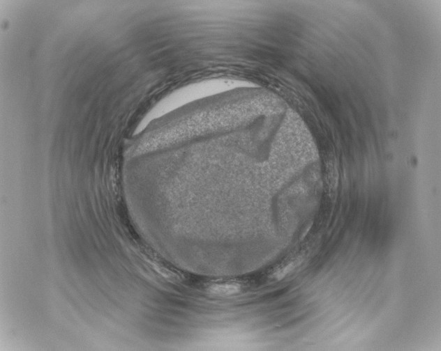 X0000069830653200606161941