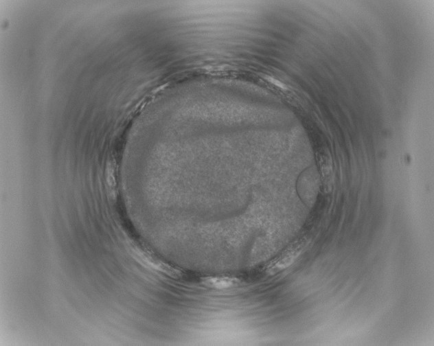 X0000069830654200606161941