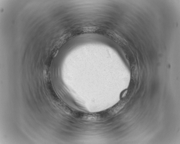 X0000069830655200606161941