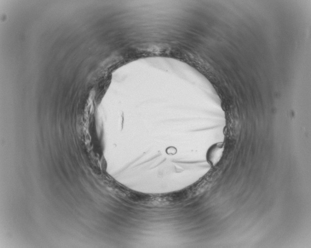 X0000069830656200606161941