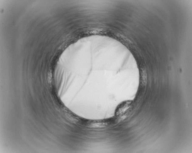 X0000069830657200606161941