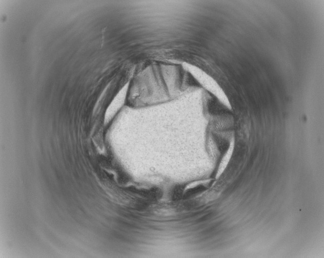 X0000069830658200606161941