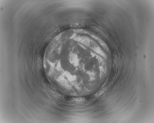 X0000069830659200606161942