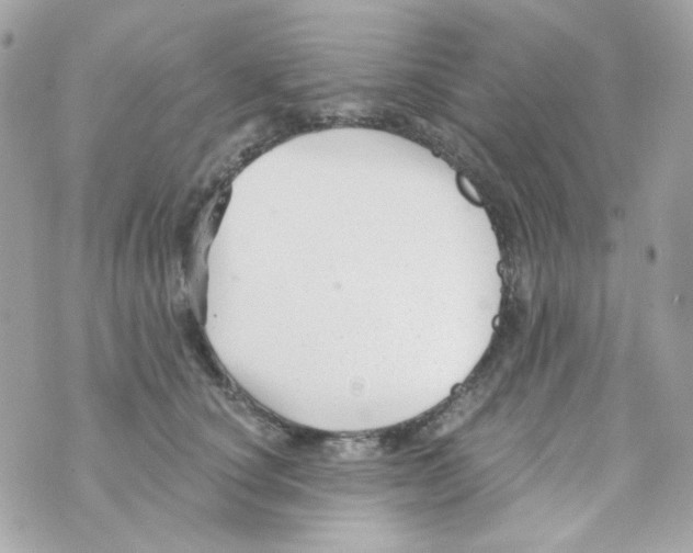 X0000069830660200606161942