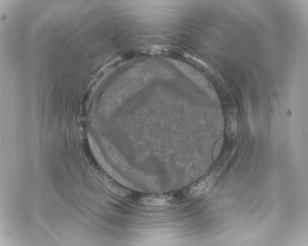 X0000069830661200606161942