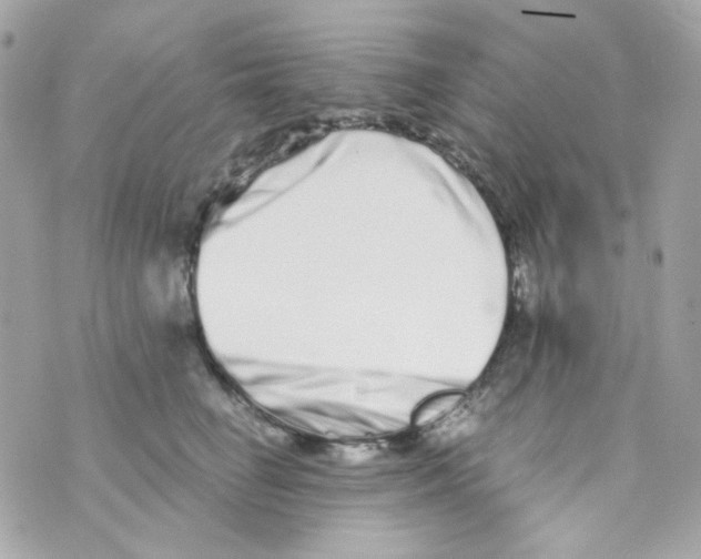 X0000069830662200606161942