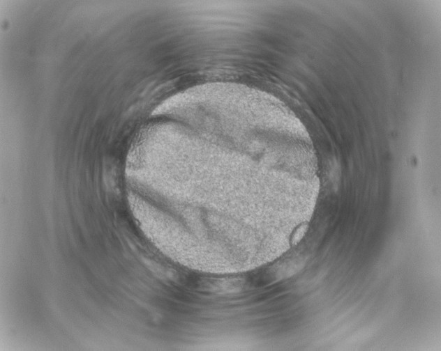 X0000069830663200606161942