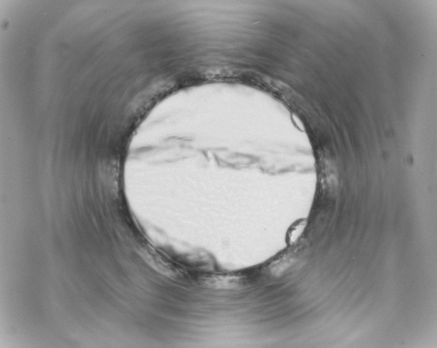 X0000069830664200606161942