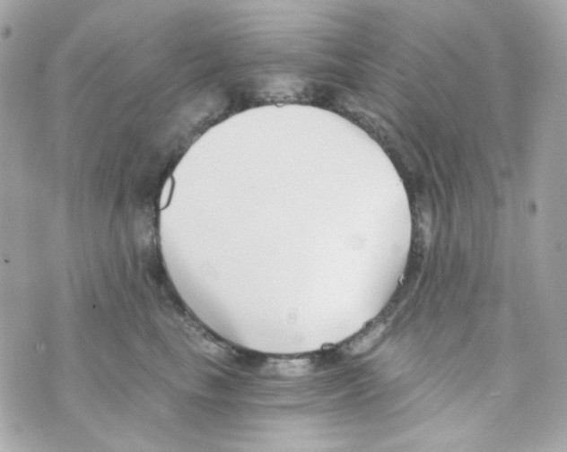 X0000069830665200606161942