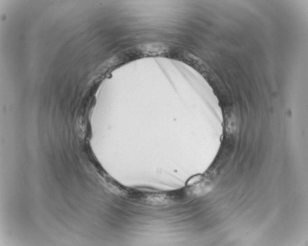 X0000069830666200606161942