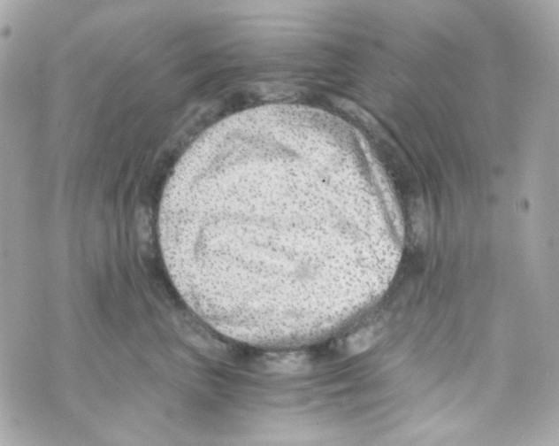 X0000069830667200606161942