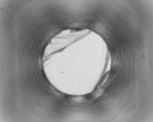 X0000069830669200606161942