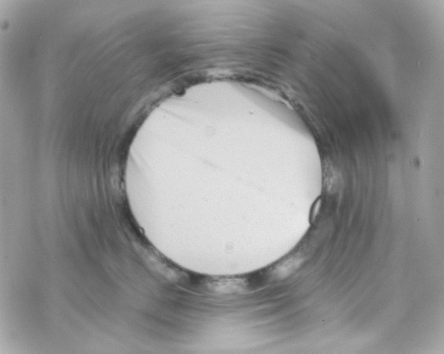 X0000069830670200606161942