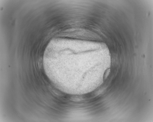 X0000069830671200606161942