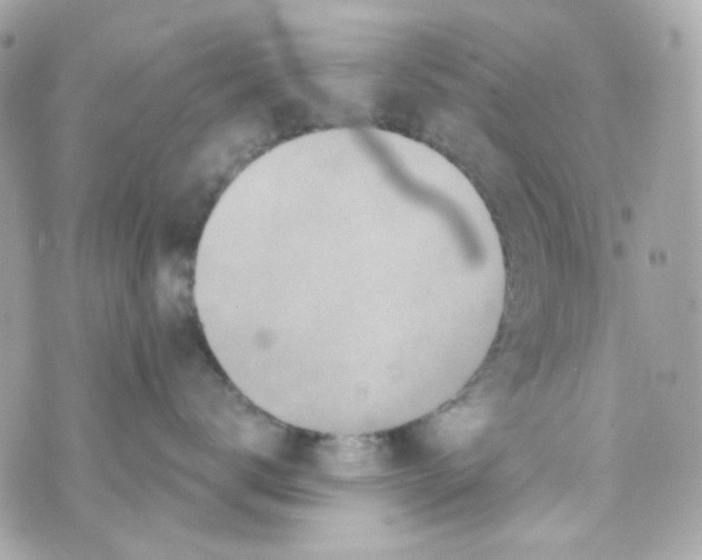 X0000069830672200606161942