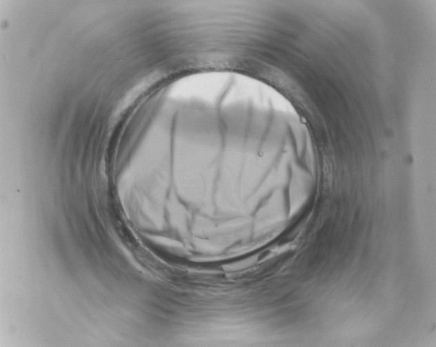 X0000069830674200606161941