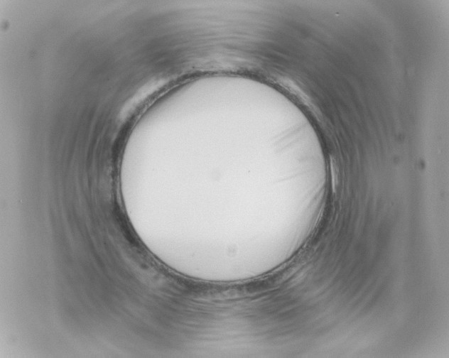 X0000069830675200606161941