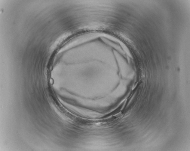 X0000069830678200606161941