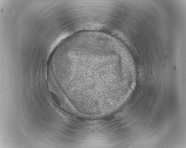 X0000069830679200606161941