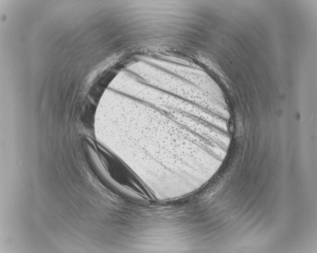 X0000069830681200606161941