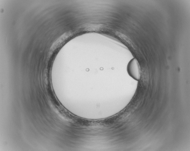 X0000069830682200606161941