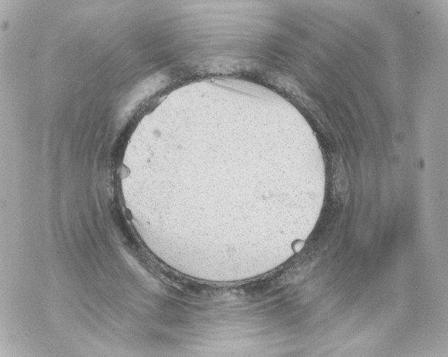 X0000069830683200606161941