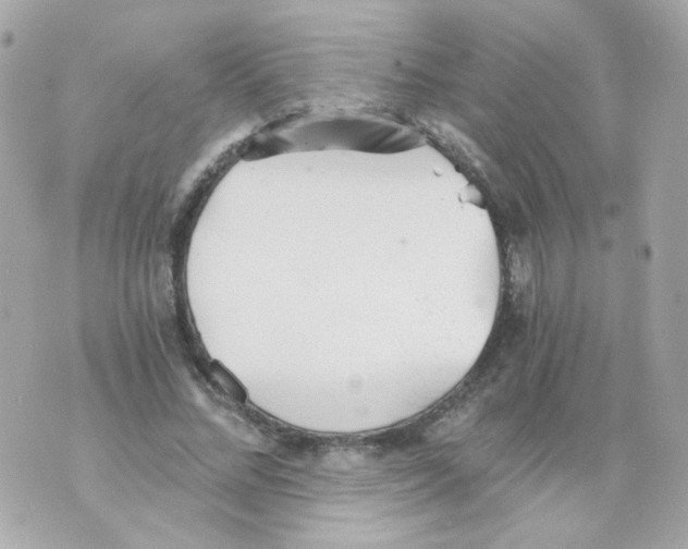 X0000069830684200606161941