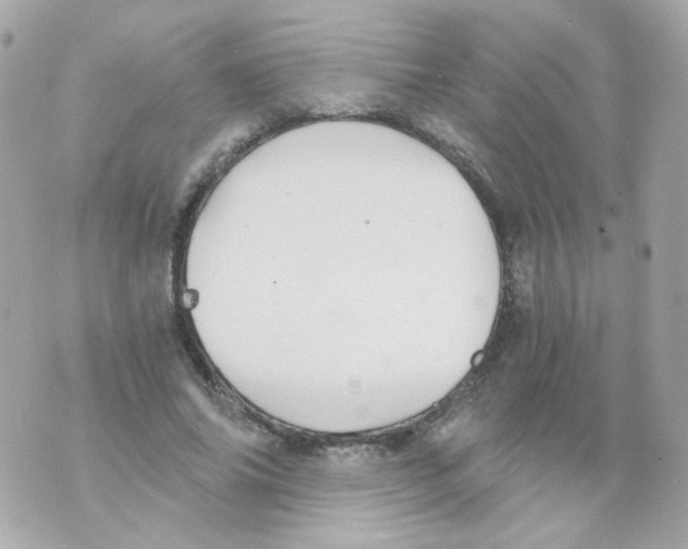 X0000069830686200606161941