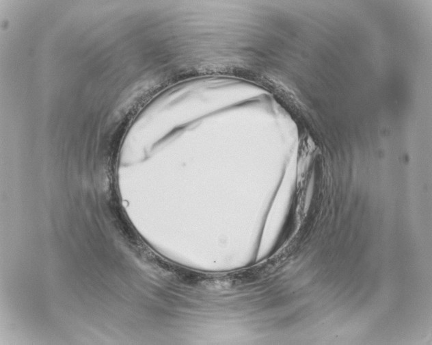 X0000069830687200606161941