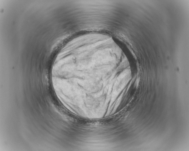 X0000069830688200606161941