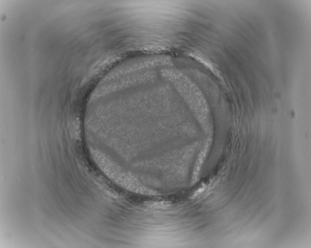 X0000069830689200606161941