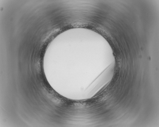 X0000069830690200606161941