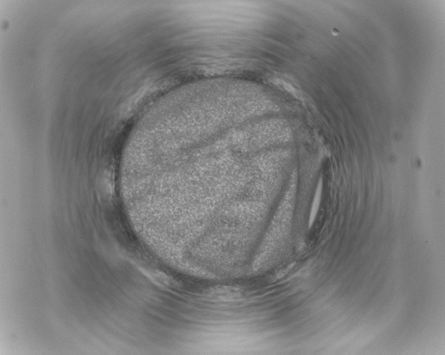 X0000069830691200606161941