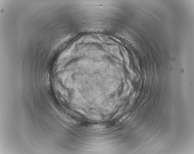 X0000069830692200606161941