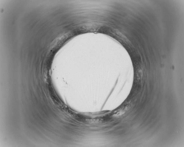 X0000069830693200606161941