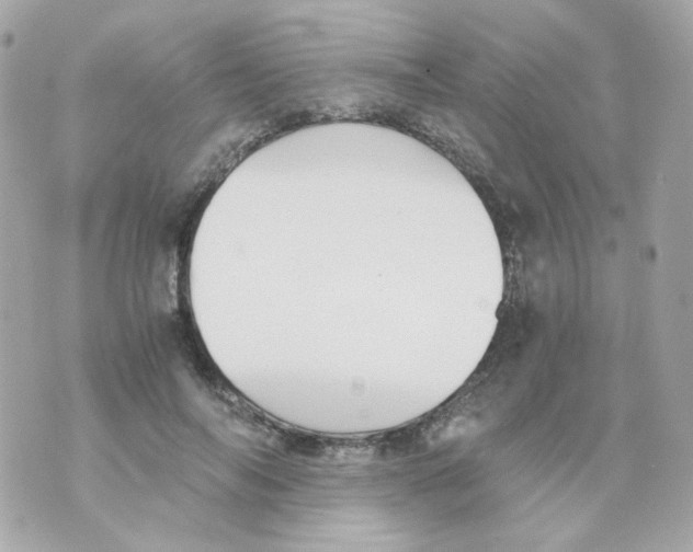 X0000069830694200606161941