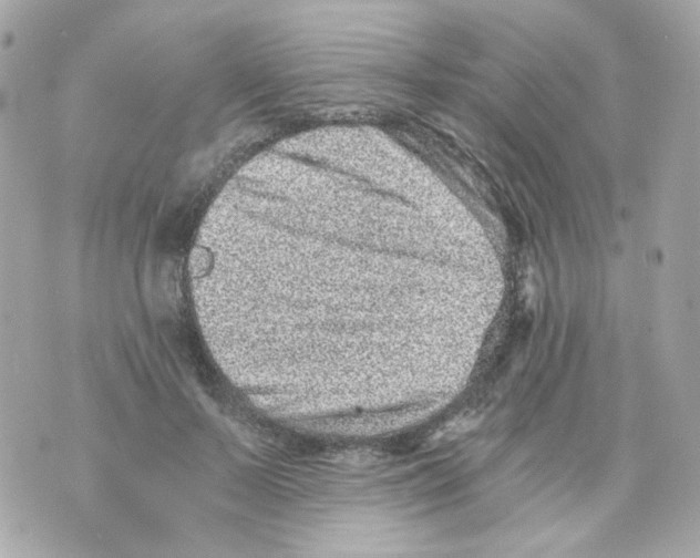 X0000069830695200606161941