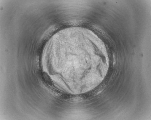 X0000069830696200606161941