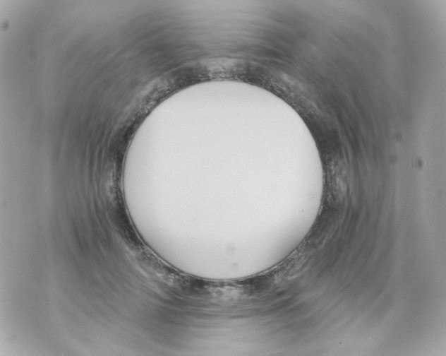 X0000069830698200606161941