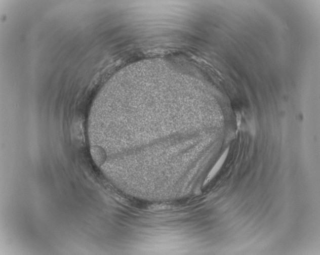 X0000069830699200606161941