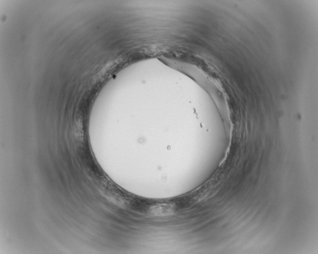 X0000069830700200606161941