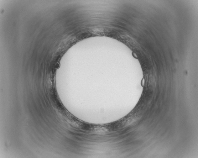 X0000069830702200606161940