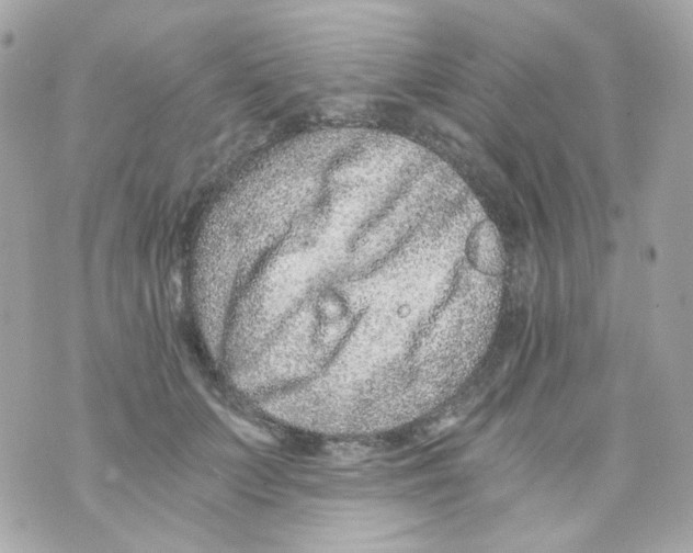 X0000069830703200606161940