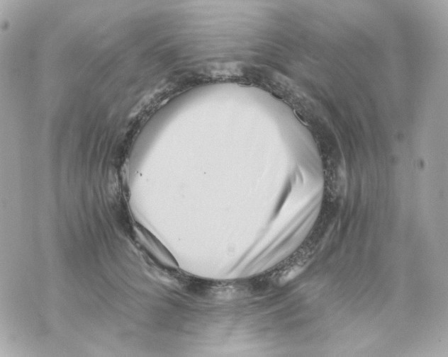 X0000069830704200606161940